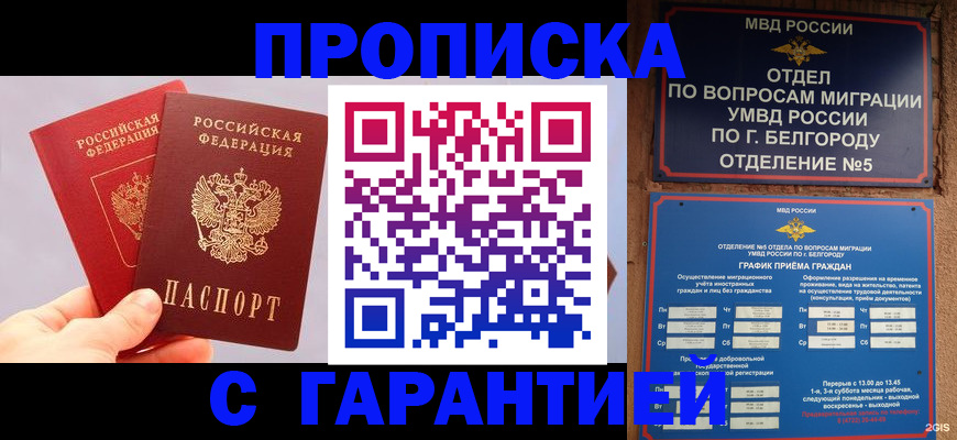 прописка 2025 в Зее